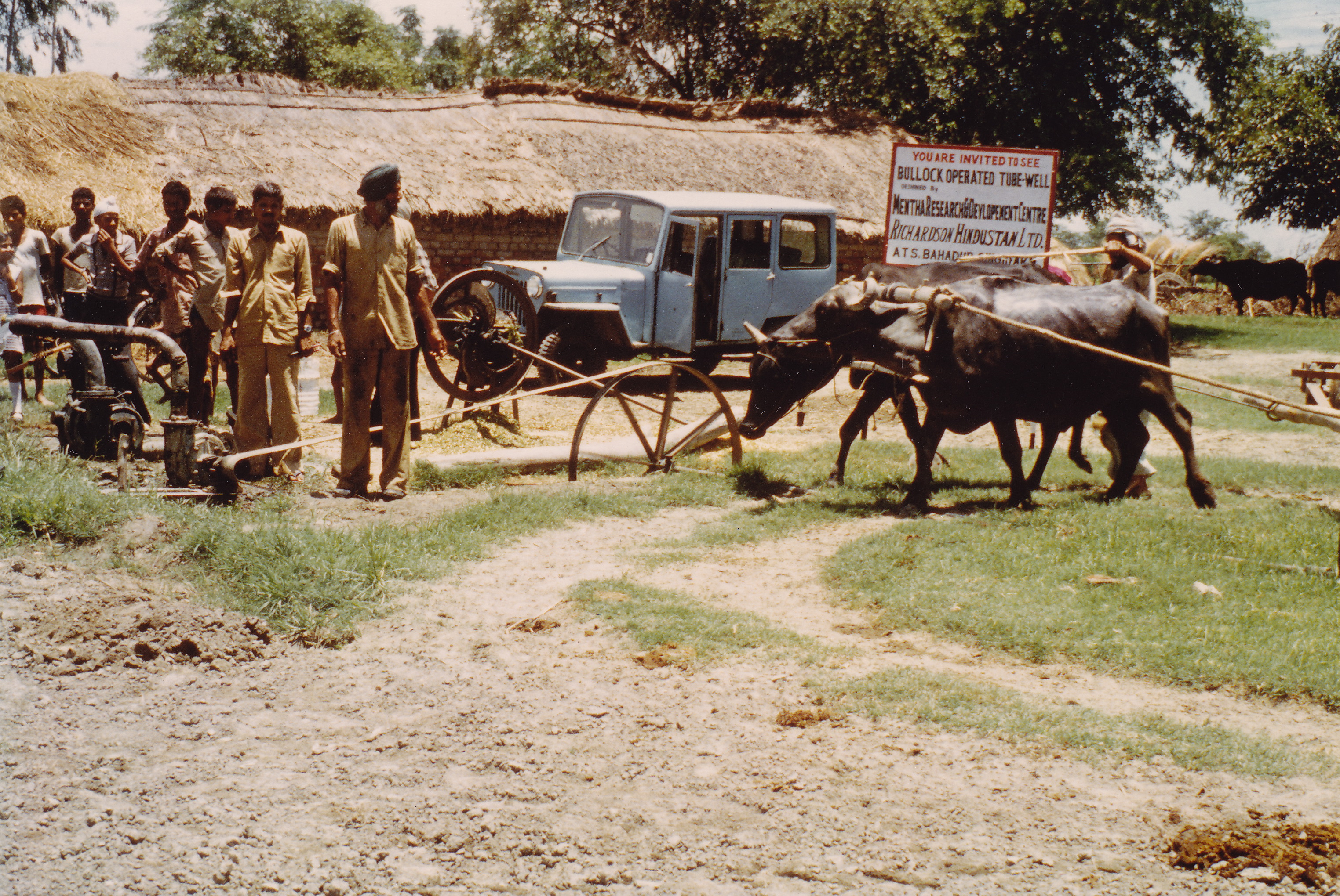 Bullock-operated pump
